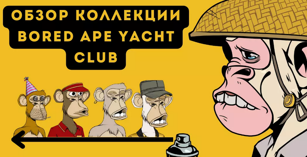 Обзор коллекции Bored Ape Yacht Club 