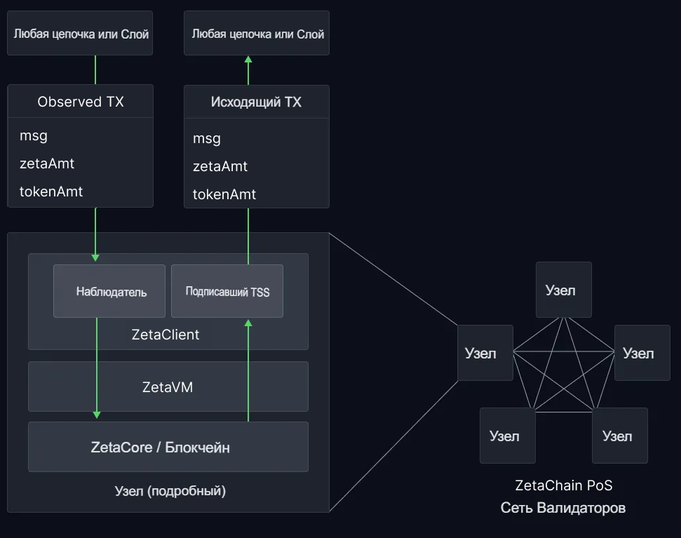 Архитектура блокчейна ZetaChain (ZETA)