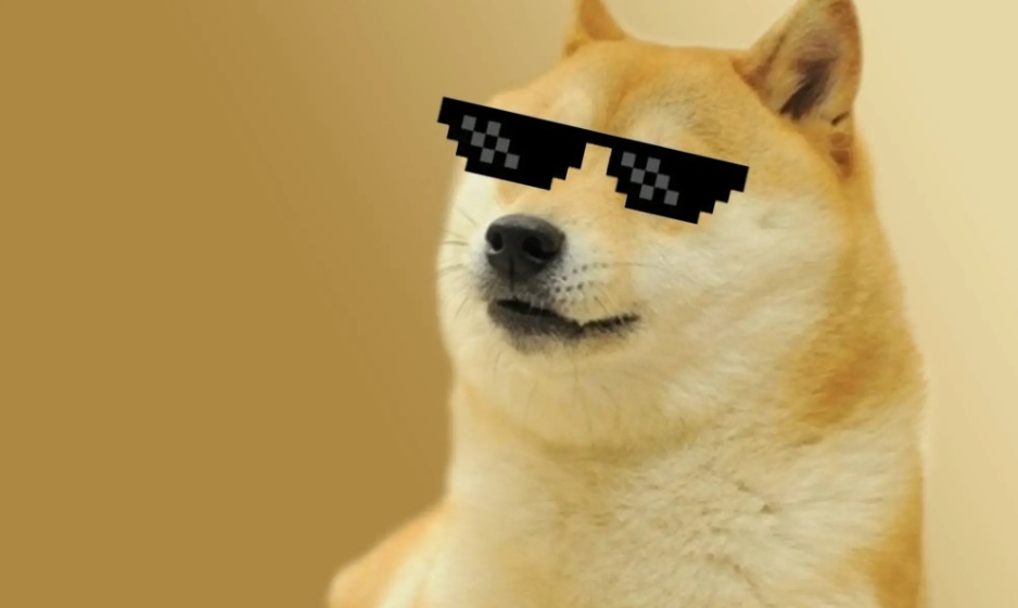 doge.jpg