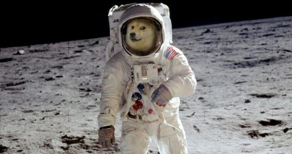 dogecoin-doge-dog-moon-969x512.jpg