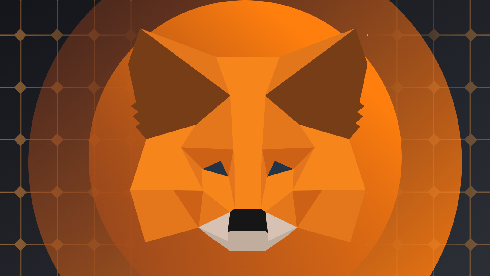 MetaMask ввел новый функционал конфиденциальности