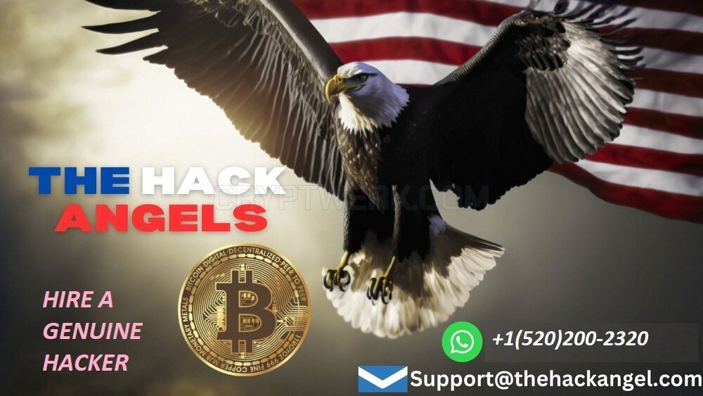 the-hack-angel_fd5de8dfa19ba25f846e23833fed6389.jpg.dcdd5b984108df22f52b8a3b979781c5.jpg