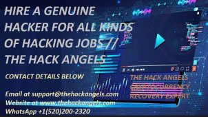 iHoqYSg4rNXuhG9C2fKnBL-1200-80.jpg