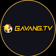 gavangtvvllc