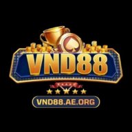 vnd88aeorg