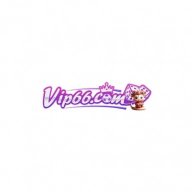 vip66website1