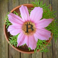 FlowerCrypto