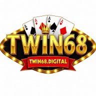 twin68digital2