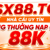 ssx88to