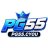 pg55cyou